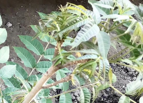 ����ʱ�ڷ�ʪа���ӳ����� ��...