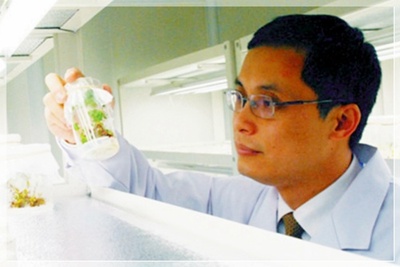 ����ҩ����������